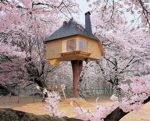 Teahouse-Tetsu-tree-house