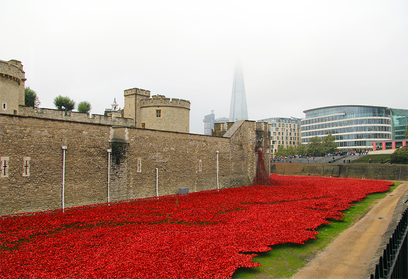 888246-ceramic-poppies-tower-of-london-remembrance-day-designboom-04