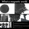 magnetic world