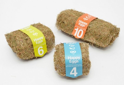 24-egg-packaging-design.preview