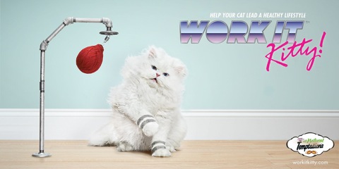 Temptations-Cat-Treats-Work-it-Kitty2
