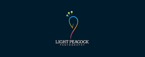 23-beautiful-peacock-logo