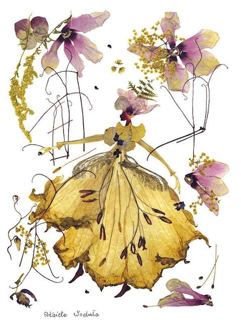 dried-pressed-flower-art-florotypie-elzbieta-wodala-27__605