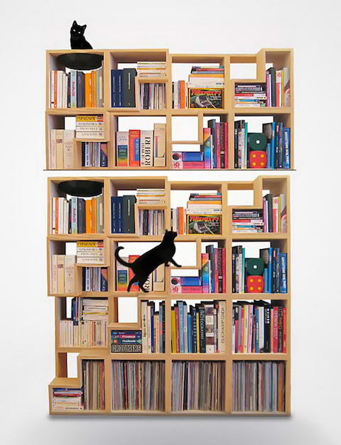 Cat-Library-1