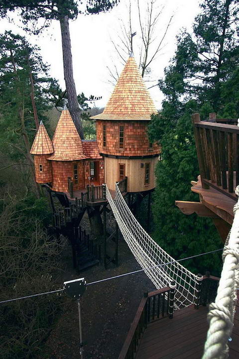 Living-the-Highlife-Tree-House