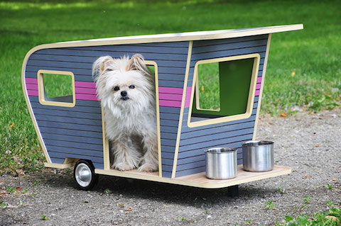 inventions-for-dog-lovers-14-1