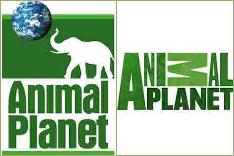 animal_planet_logo