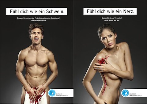 deutscher-tierschutz-bund-ev-shows-that-animals-suffer-like-people-do-pig-and-mink-germany-2010