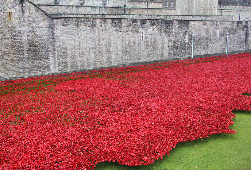 888246-ceramic-poppies-tower-of-london-remembrance-day-designboom-09