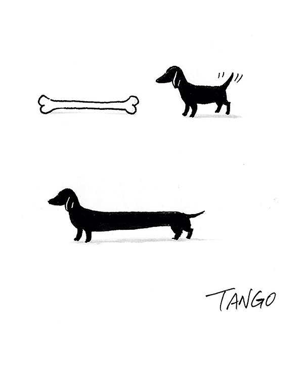 funny-minimal-animal-illustrations-shanghai-tango-3