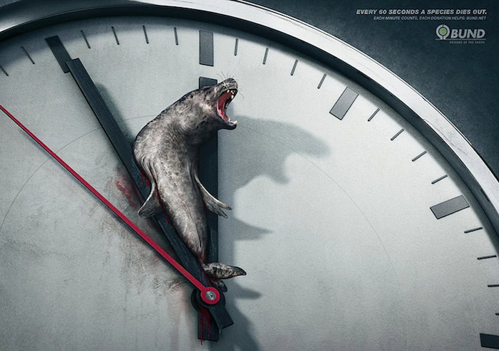 CAMPAÑA SOCIAL Every 60 seconds a species dies out