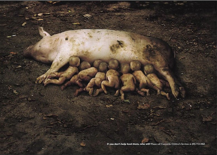 CAMPAÑA SOCIAL If you don´s feed them, who will?