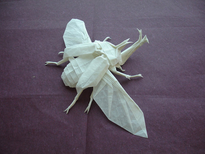 Origami- Shuki Kato