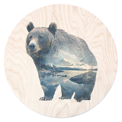 faunascapes-plywood-bear