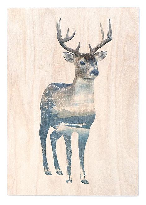 faunascapes-plywood-deer