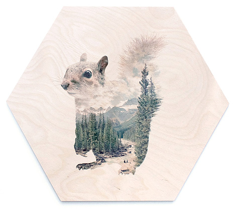 faunascapes-plywood-squirrel