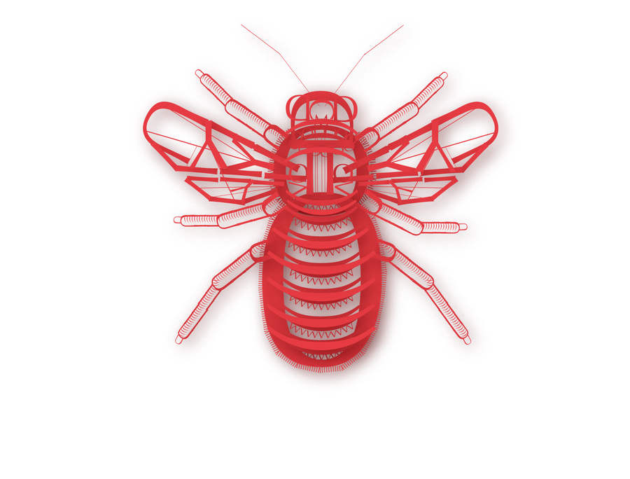 insecto-tipografia6