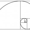 fibonacci espiral