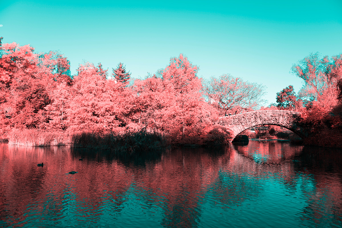 INFRARED NYC 01