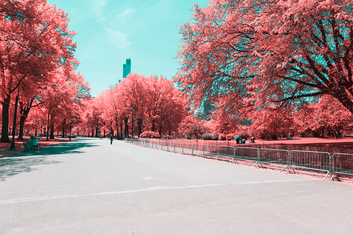 INFRARED NYC 03