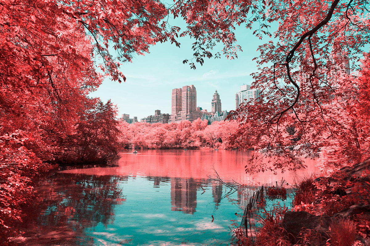 INFRARED NYC 05