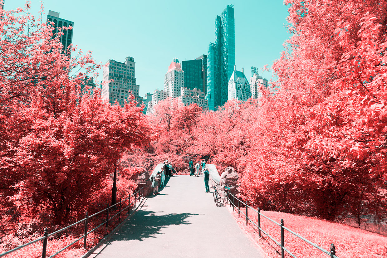INFRARED NYC 08