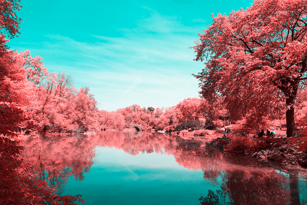 INFRARED NYC 09