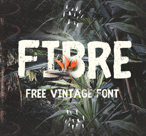 Fibre+free+fonts