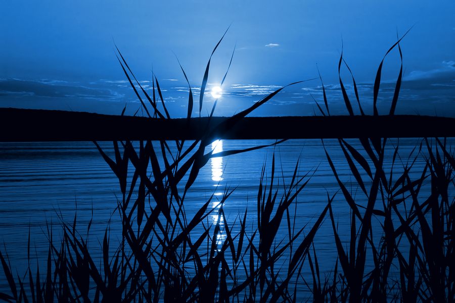 Mystical night (moonlight on the river) as a beautiful landscape