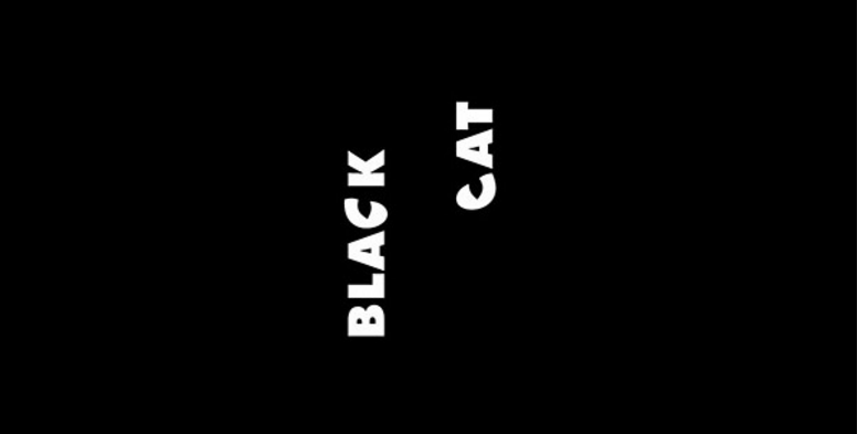 two-cat-eyes-peer-out-from-a-black-background-of-this-black-cat-logo