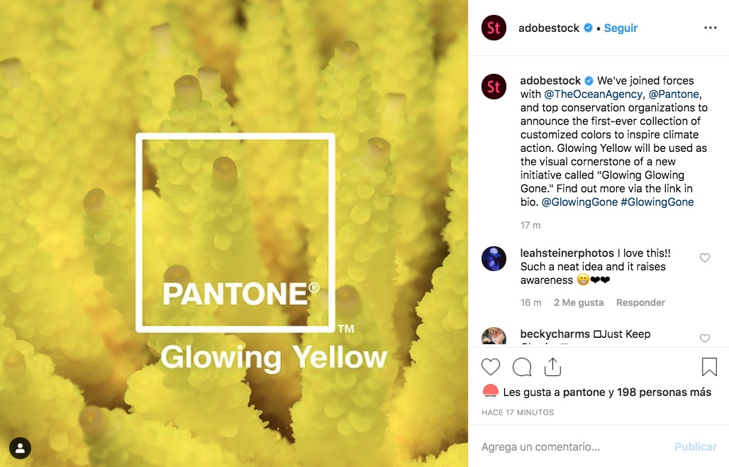 Pantone y Adobe lanzaron tres colores brillantes que hacen referencia a los corales afectados por el cambio climático, esto con el objetivo de concientizar.