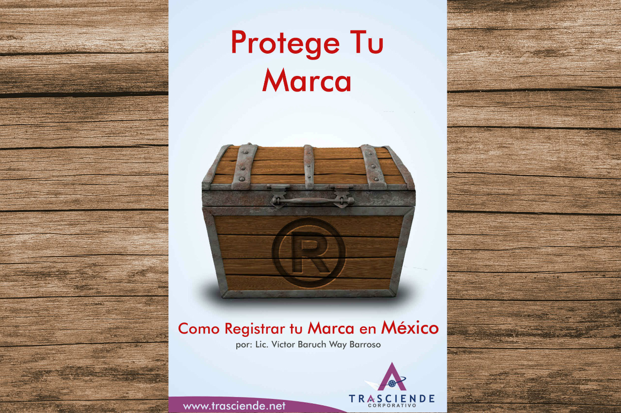 El libro Protege Tu Marca, Cómo Registrar tu Marca en México es una guía que ayuda a seguir los procedimientos solicitados por el IMPI.